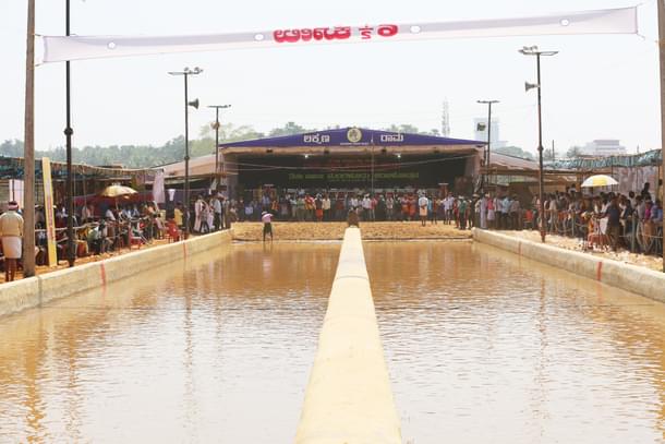 The track that is created each year at Mangaluru Kambala to give city residents an experience (Photo: HB/Mangaluru Kambala)