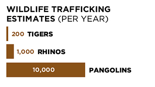 Wildlife trafficking estimates in 2014. Source - <a href="https://edition.cnn.com/interactive/2014/04/opinion/sutter-change-the-list-pangolin-trafficking/">CNNInternational</a>