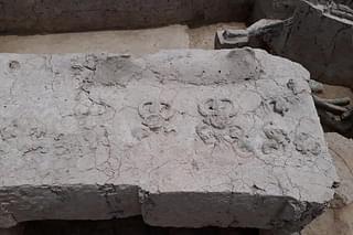 Peepal-horned headdresses wearing deities on the Sanauli grave (Source: @Dhvamsaka/Twitter)&nbsp;