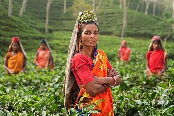 representative image (Source: https://pixabay.com/photos/person-woman-india-fields-plantage-690245/)