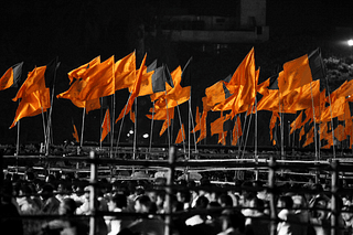 Sea of saffron flags (representative image)