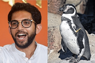 Aditya Thackeray - left, Penguin - right