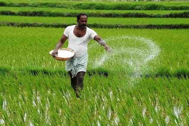 A farmer in his field.