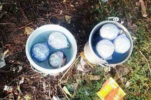 Crude Bombs - representative image (Pic Via OrissaPost)