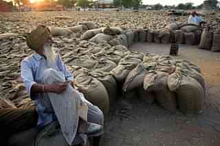 An Indian farmer relaxes at a grain market near Hamirgarh, Punjab (PEDRO UGARTE/AFP/Getty Images)