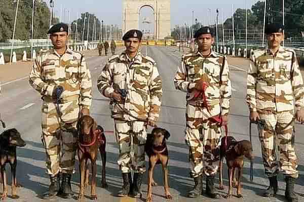 A Canine unit of ITBP Jawans (Neeraj Rajput/Twitter)