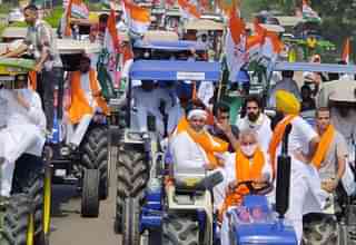 Congress’ Kisan Aakrosh Tractor Rally (@INCOverseasUAE/Twitter)