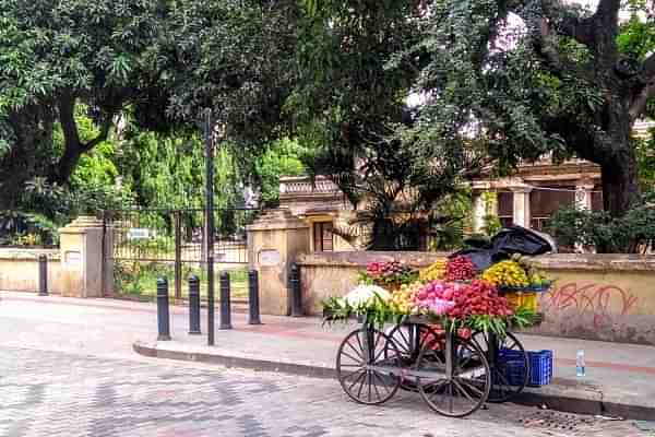 A green Church Street in Bangalore.