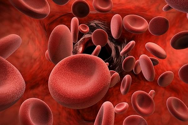 Red blood cell - Representative Image (Science Mag)