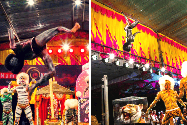 Tigers fly high in the air trying flips. Picture: Team MGT.