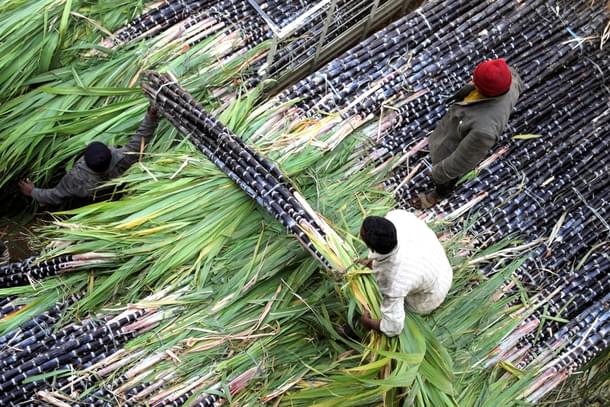 Mounting sugarcane arrears are a major concern in western UP. (Getty)