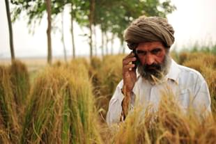 A farmer in Punjab. (Flickr/CIAT)