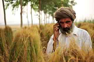 A farmer in Punjab. (Flickr/CIAT) 