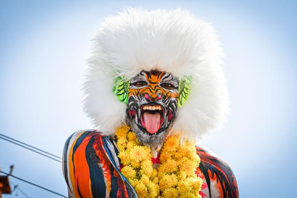 The tiger roars. Picture: Athul S K.