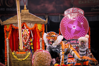 Tigers lifting the rice ‘mudi’ symbolically in front of Mangaladevi.
