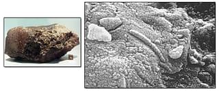 ALH84001 Martian Meteorite fragment and the electron microscope of nanostructures that could have been fossilized microbial activity results.