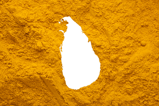 A map of Sri Lanka. 