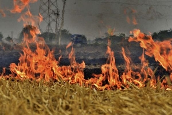 Farmers burning  stubble in wheat fields on the outskirts of Ludhiana. (Gurpreet Singh/Hindustan Times via GettyImages)