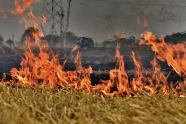Farmers burning stubble in wheat fields on the outskirts of Ludhiana. (Gurpreet Singh/Hindustan Times via GettyImages)