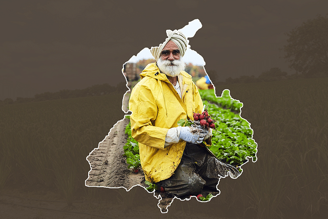 A farmer in Punjab. (Graphics: Swarajya)
