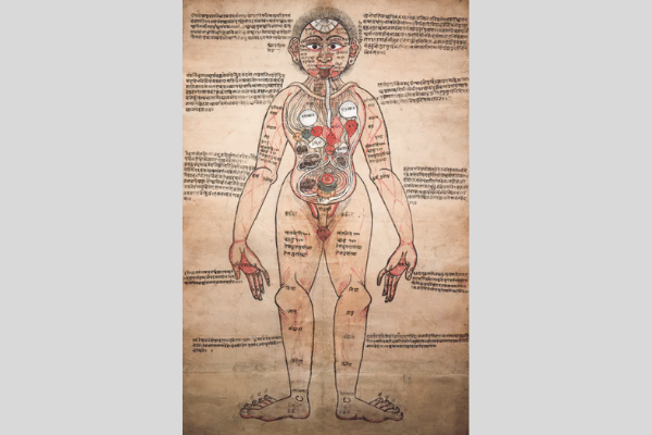Figure 10. The Ayurvedic Man – an 18th-century Nepali illustration sent by Paira Mall from India for Henry Wellcome’s collection (Source: Wellcome Collection)