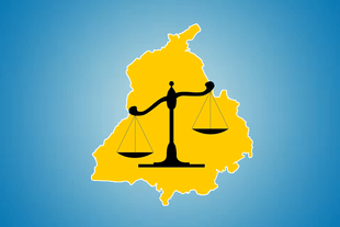 Punjab paddy sale by MSP.