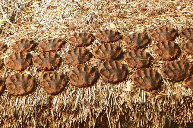 Gobar drying on a roof (Juggadery/Flickr)