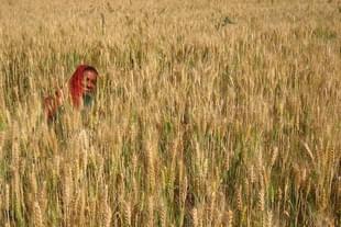 Representative image (Flickr)