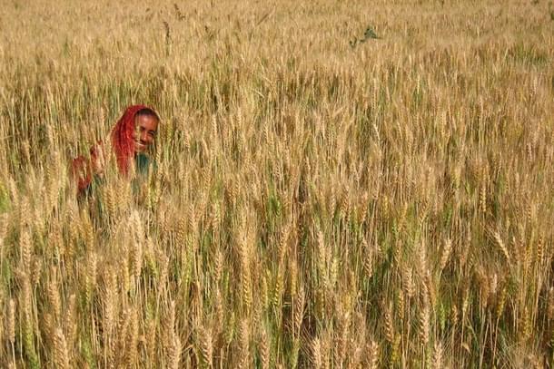 Representative image (Flickr)