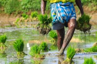 Representative image (Unsplash)