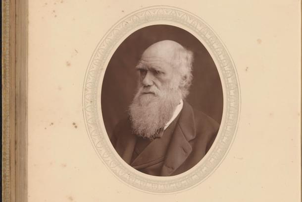 Charles Darwin (Wikimedia Commons)