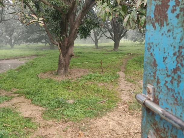 The agricultural land adjoining Shabnam’s house.