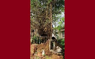 Tuluveshwara Shrine in Basruru.