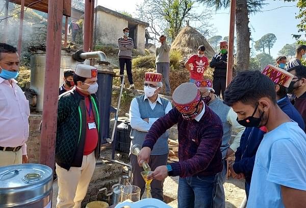 Extraction of oil from marigold in Chamba (@shekhar_mande/twitter)