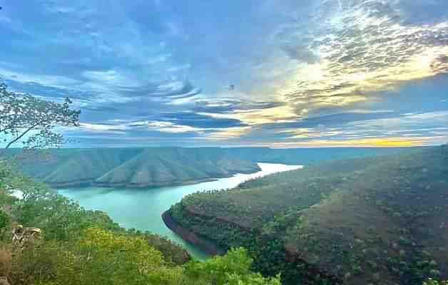 Amrabad Tiger Reserve in Telangana (@iAbhinayD/twitter)