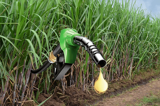 Ethanol (Representative Image)