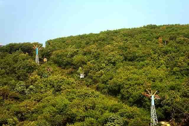 representative image (Pic Via Wikipedia)