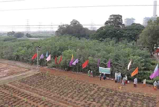 Next phase of mini forest plantations at Ramagundam (NTPC)