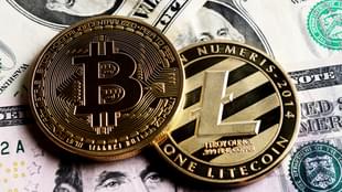 Bitcoin and Litecoin symbols