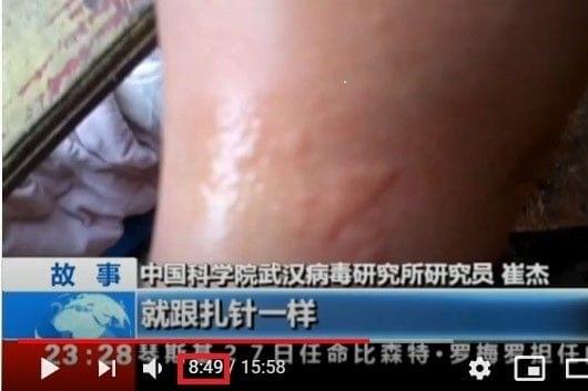 Screenshot from the video