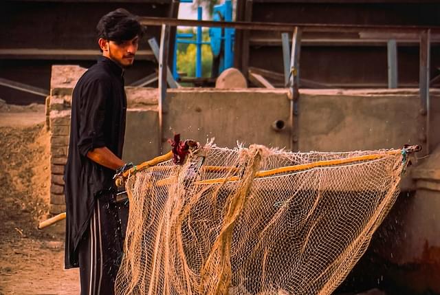Fisherman (Image Credits: @TahmoorNazeer)