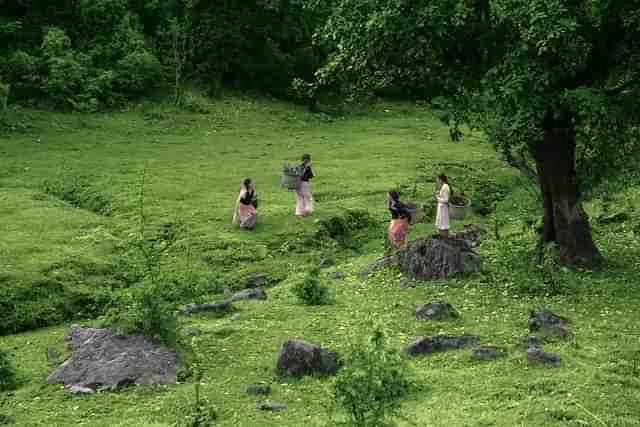 Women near Messarkund Bugyal meadow near Munsiyari, in the Pithoragarh District of Uttarakhand (Wikimedia Commons) 