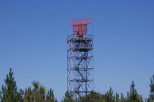 (representative image) (Pic Via Wikipedia)