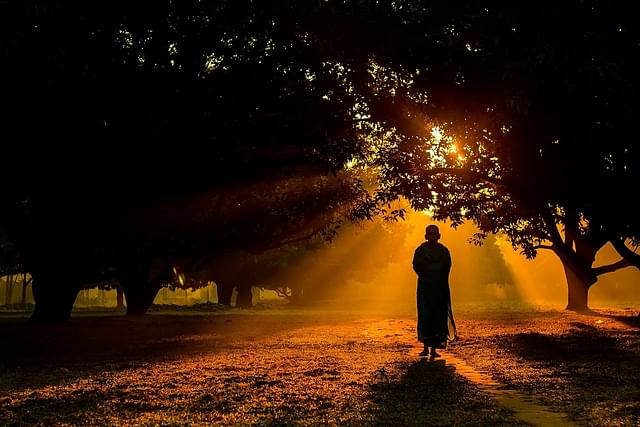 A Hindu monk walking during sunrise in a mango garden in Dinajpur, Bangladesh (Jubair Bin Iqbal)