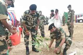 BSF officials plant a bamboo sapling in Jaisalmer as part of anti-desertification measures. 