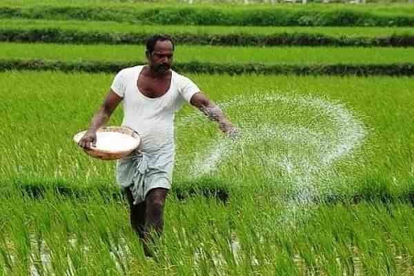 A farmer in his field.