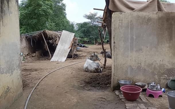 A view of the village