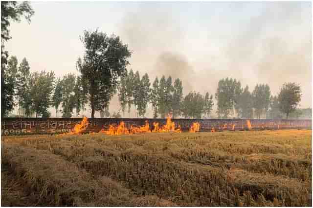 Stubble burning