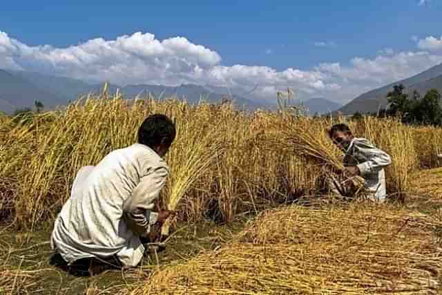 Representative image (Photo by Saqib Majeed/SOPA Images/LightRocket via Getty Images)