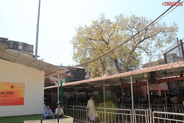 Our click of the entry to the Kashi temple (visible behind the tree) in 2018